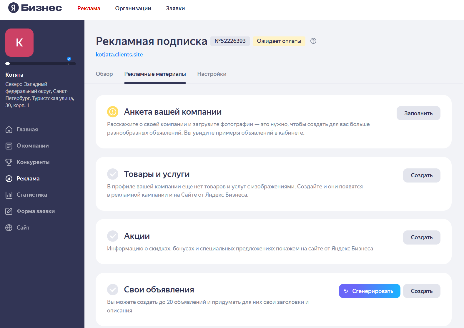 Настройка рекламной кампании и креативов для подписки Яндекс Бизнес