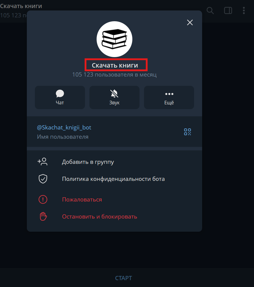 Название чат-бота