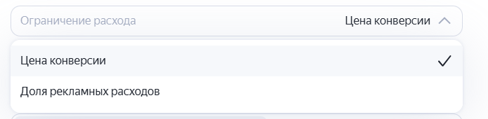 Параметры ограничения расходов в настройках бюджета кампании