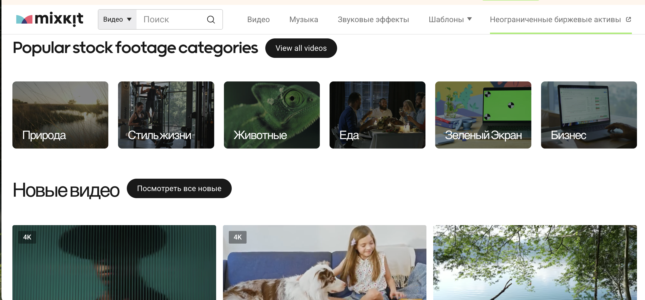 Главная страница MixKit с бесплатными видео и шаблонами