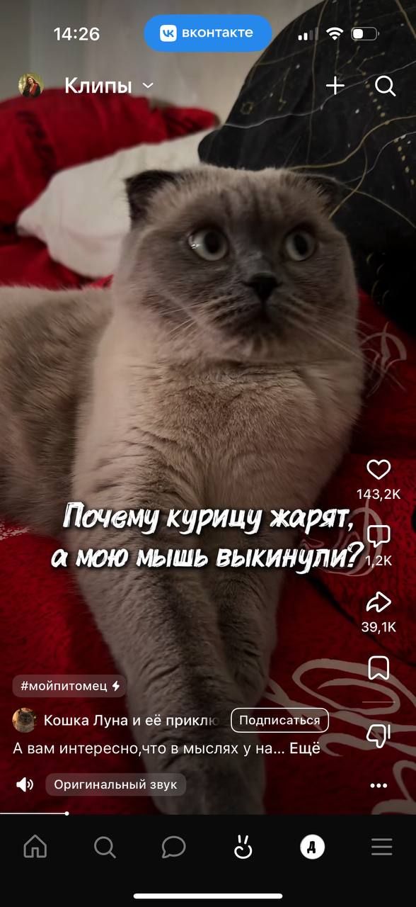 Интерфейс VK Клипов во вкладке приложения VK