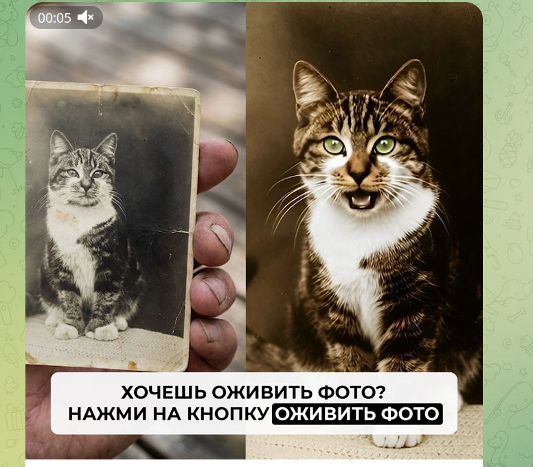 Интерфейс Telegram-бота Wow_FrameBot