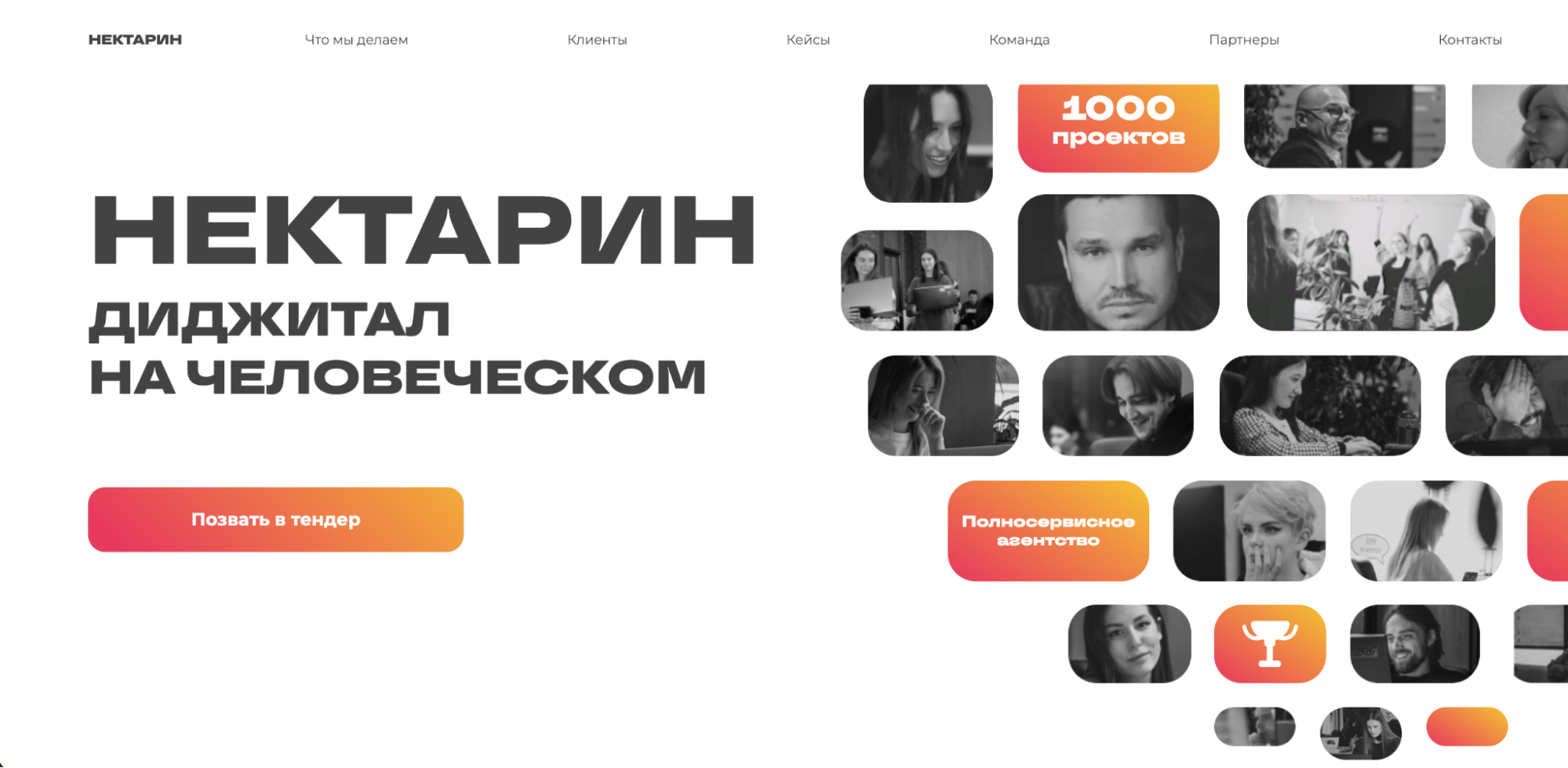 Логотип или скриншот сайта Nectarin