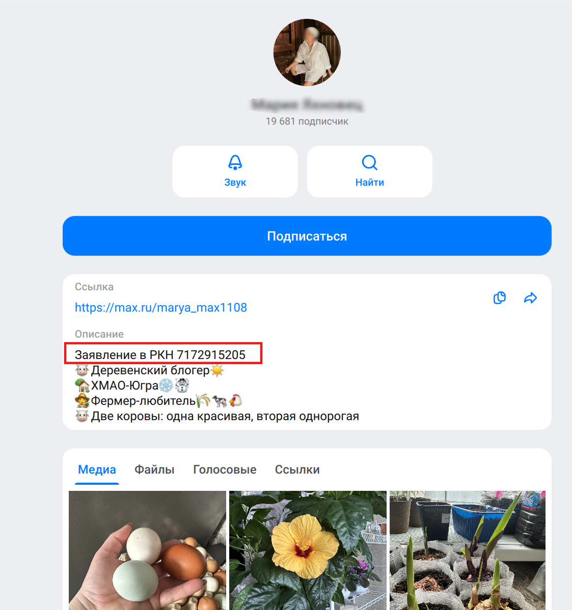 Маркировка в Max и проверка регистрации в РКН