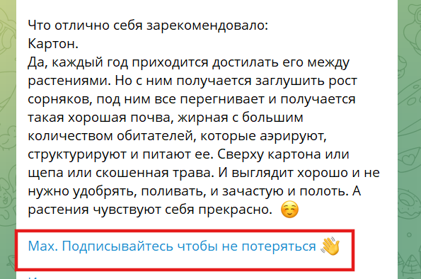 Как продвигать канал в Макс быстро