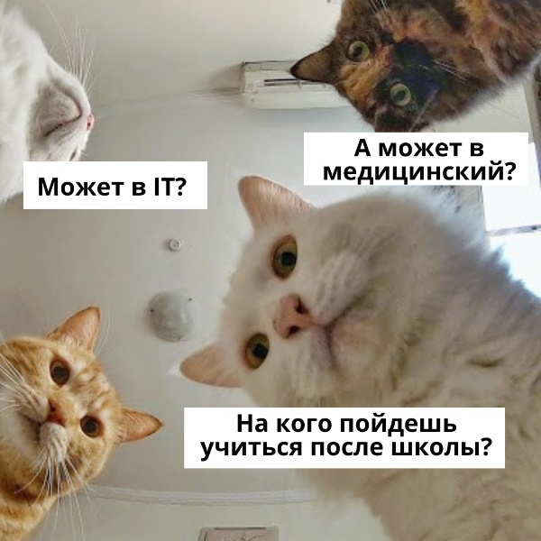 Мем-креатив для школьников о выборе будущей профессии