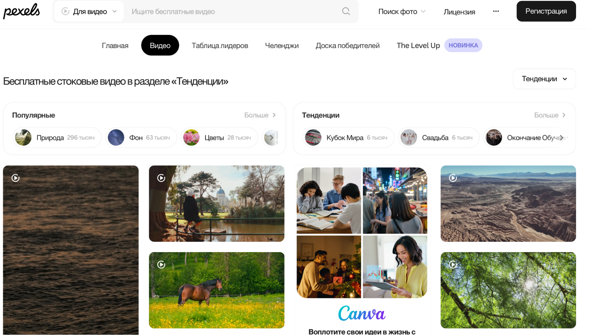 Поиск видео на Pexels