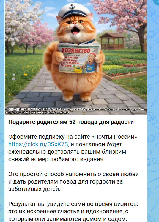Пример объявления в канале Max