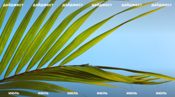 Главные новости таргета и SMM за июль 2024 года