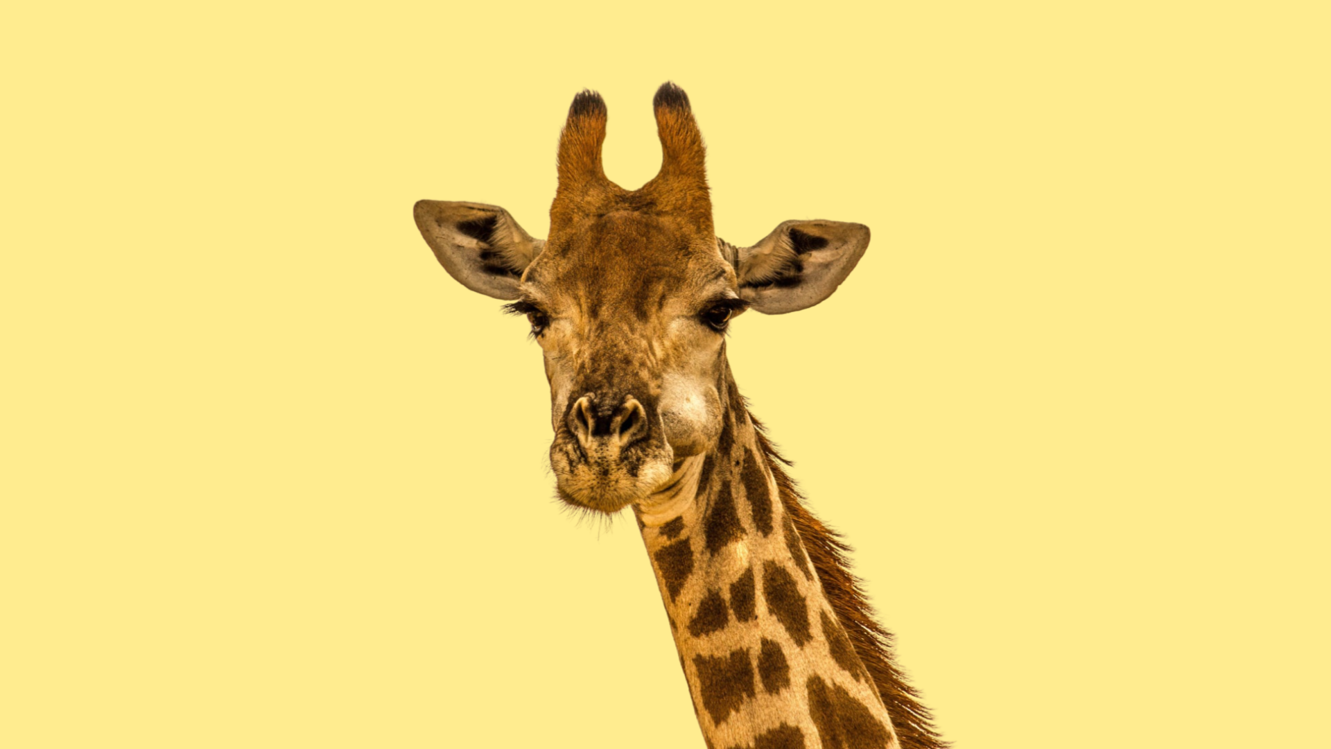 Google Analytics 4: что это такое и почему его важно установить (еще вчера)